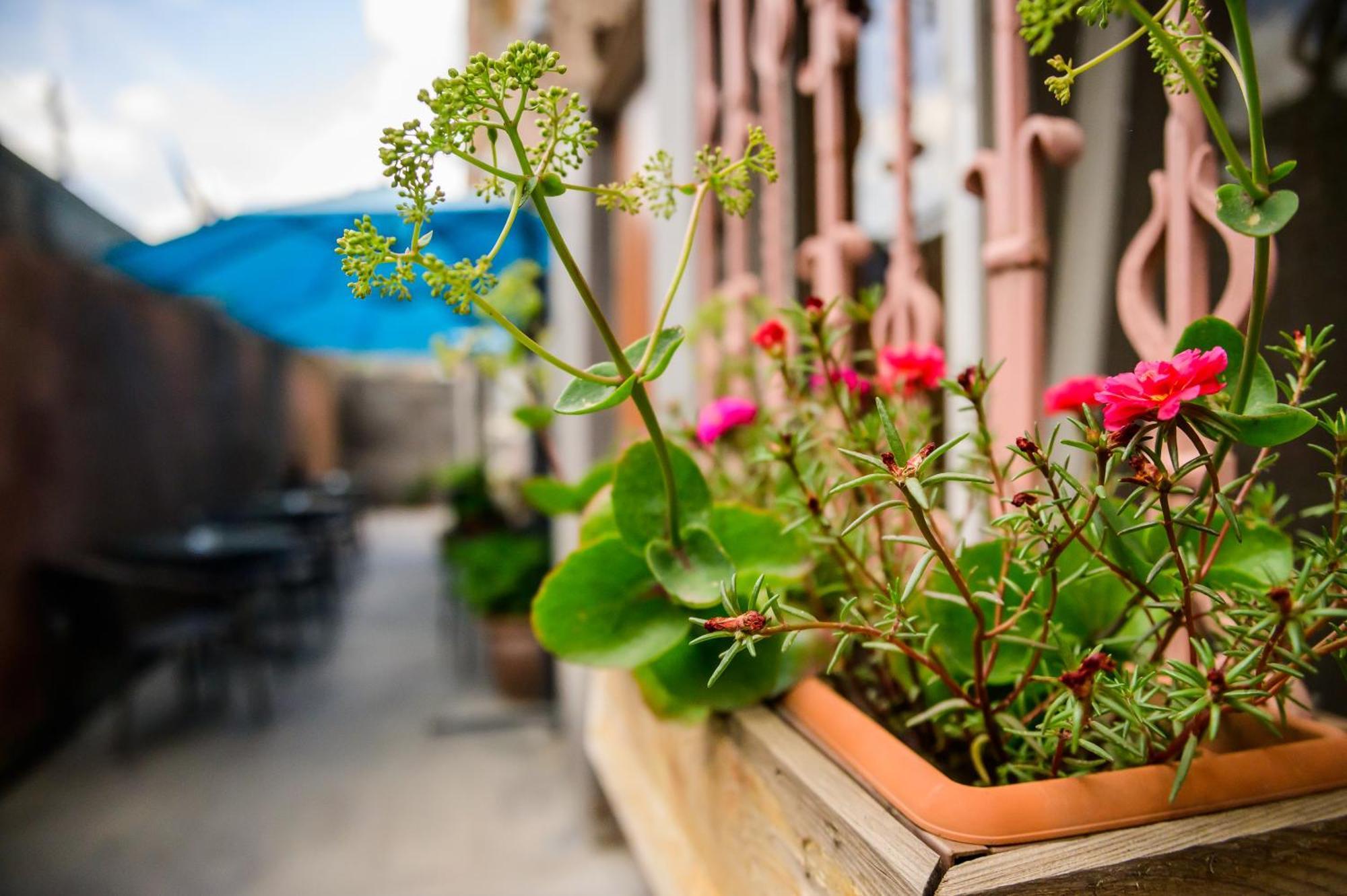 Mia Casa Hotel Yerevan Exterior photo